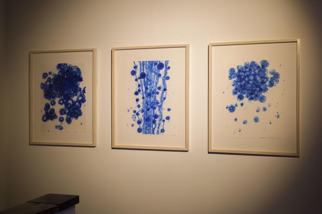 Art House Project The Row House Of Hamawaki Hotell Beppu Eksteriør bilde